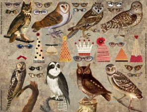 owls